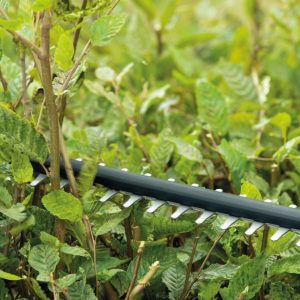 Akumulatorske škarje za živo mejo Bosch UniversalHedgeCut 18V-50 0600849K01