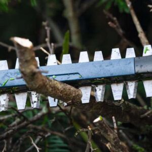 Akumulatorske škarje za živo mejo Bosch GHE 18V-60 (II) 06008C9400