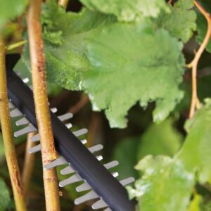 Akumulatorske škarje za živo mejo Bosch UniversalHedgeCut 18V-50 0600849K00