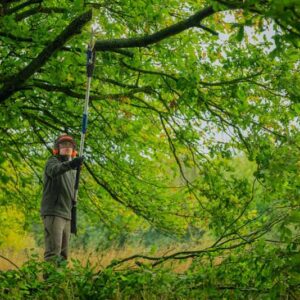 Žaga za visoke veje Bosch GKE 18V-25 TP 06008D6000