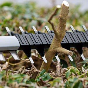 Akumulatorske škarje za živo mejo Bosch GHE 18V-60 06008C9000