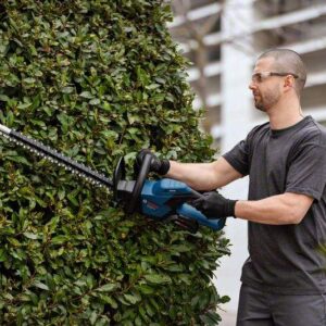 Akumulatorske škarje za živo mejo Bosch GHE 18V-60 06008C9000