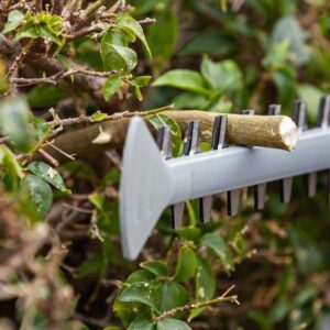 Akumulatorske škarje za živo mejo Bosch GHE 18V-60 06008C9000