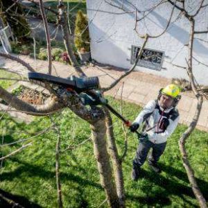 Akumulatorska žaga za les Metabo MS 18 LTX 15 600856840