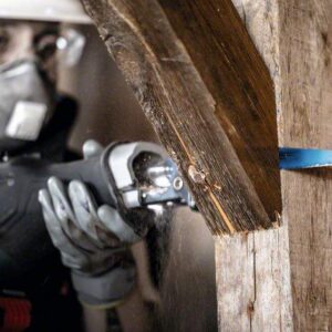 List za sabljasto žago Bosch EXPERT Wood with Metal Demolition S1167XHM 2608900398