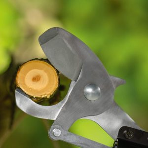 Akumulatorske škarje za obrezovanje AdvancedPrune Bosch 18V-45 06008C5001