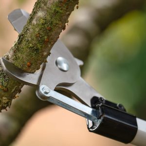 Akumulatorske škarje za obrezovanje AdvancedPrune Bosch 18V-45 06008C5002