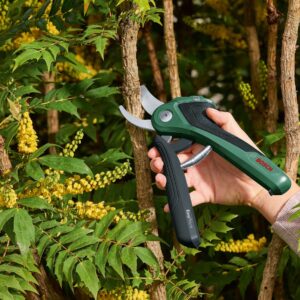 Akumulatorske škarje za obrezovanje EasyPrune Bosch 06008B2102