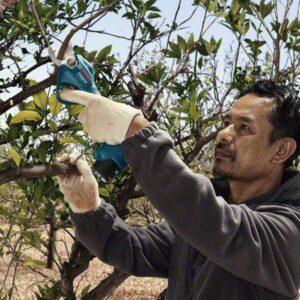 Akumulatorske vrtne škarje Pro Pruner