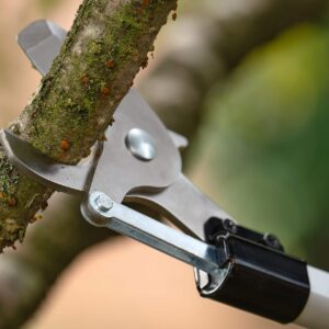 Akumulatorske škarje za obrezovanje AdvancedPrune Bosch 18V-45 06008C5000