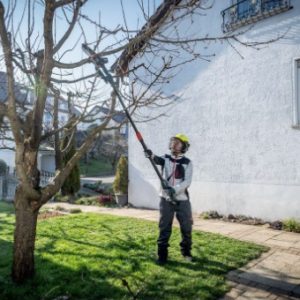 Akumulatorska žaga za les MS 18 LTX 15 + teleskopska palica 691229000