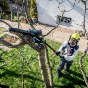 Akumulatorska žaga za les MS 18 LTX 15 + teleskopska palica 691229000