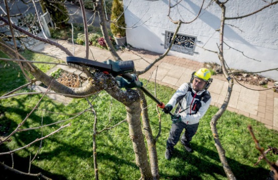 Akumulatorska žaga za les MS 18 LTX 15 + teleskopska palica 691229000