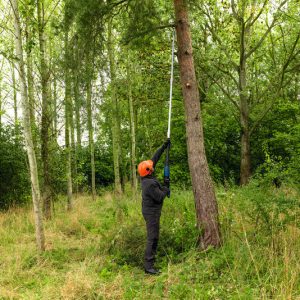Akumulatorske škarje za obrezovanje Bosch PRO GGP18V-45EP 06008D8002